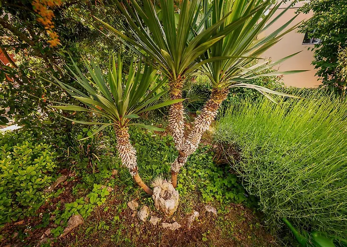 Noa On Island Krk * Vantacici